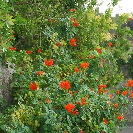 アンジェラ ホテル 4*